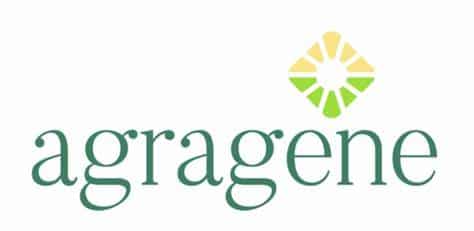 Stephanie Gamez, PhD